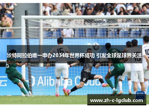 沙特阿拉伯唯一申办2034年世界杯成功 引发全球足球界关注